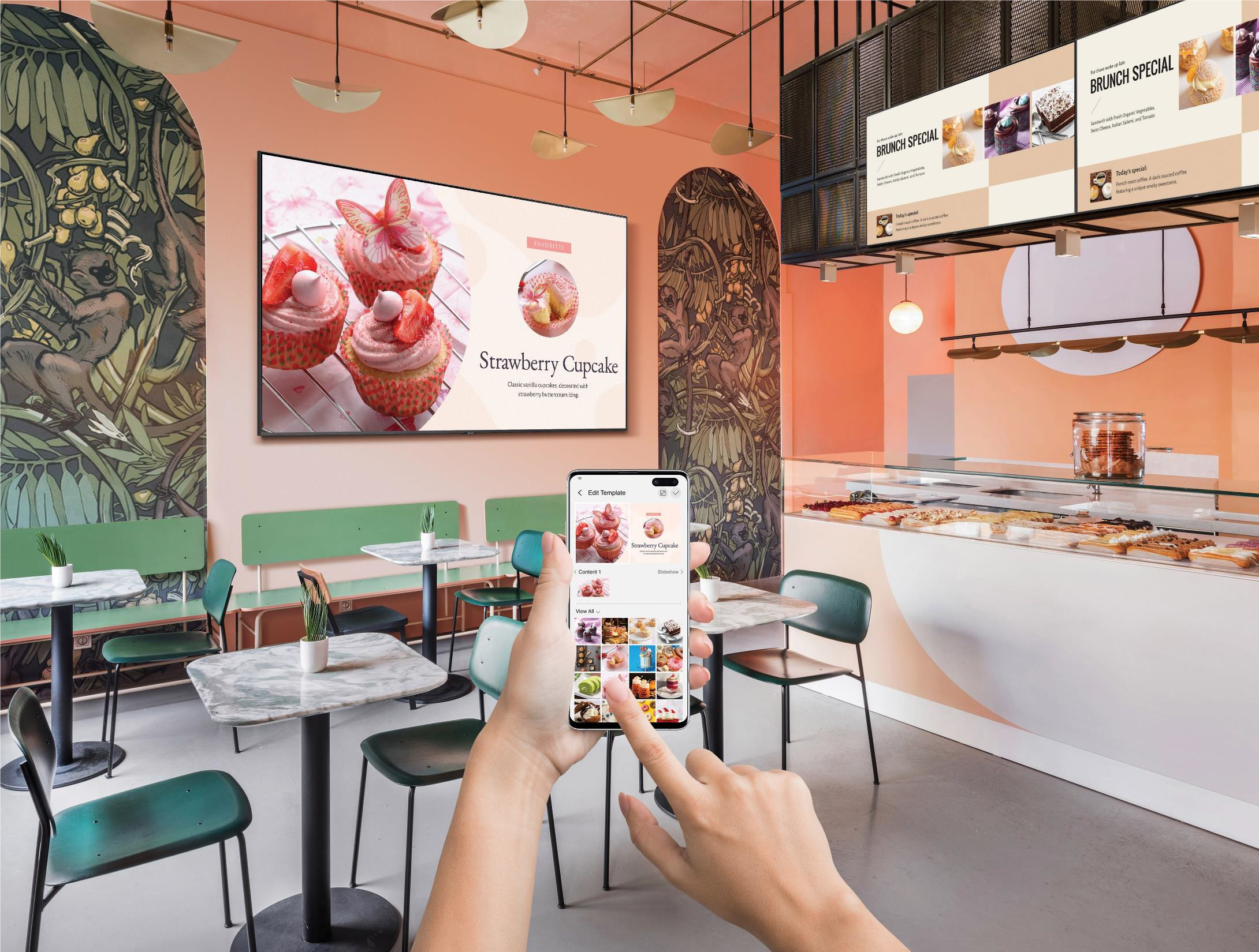 Professional Display TV & Signage<